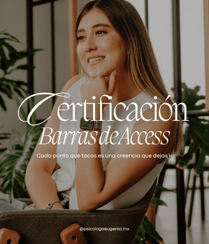 CERTIFICACIÓN DE BARRAS